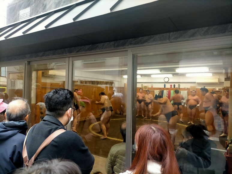 Arashio Sumo Stable, Arashio Beya