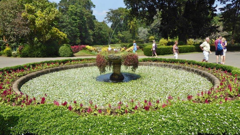 Bild: Botanischer Garten in Kandy