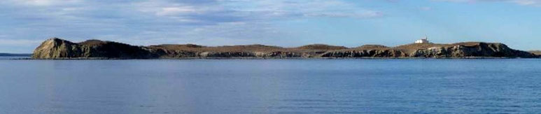 Bild: Insel