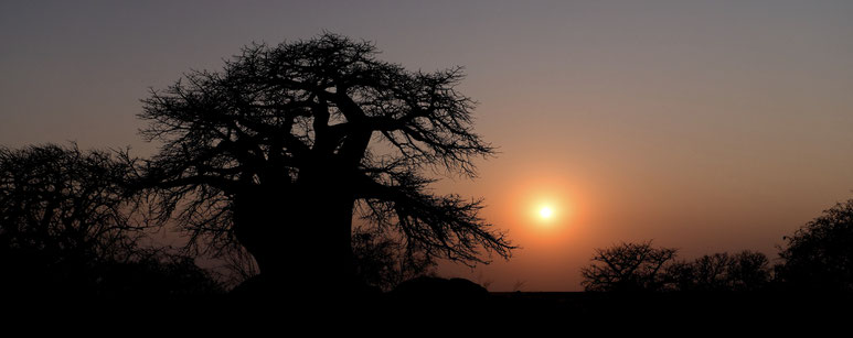Bild: Sonnenuntergang in Kubu Island
