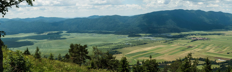 Bild: Landschaftsbild