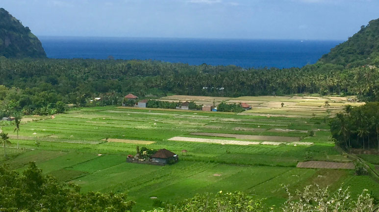 Bild: Blick über das Land aufs Meer an der Ostküste von Bali