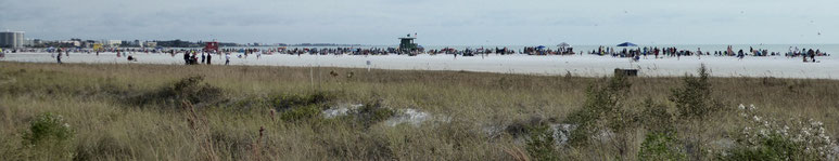 Bild: Der Strand von Siesta Key