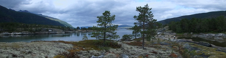Tømmerneset