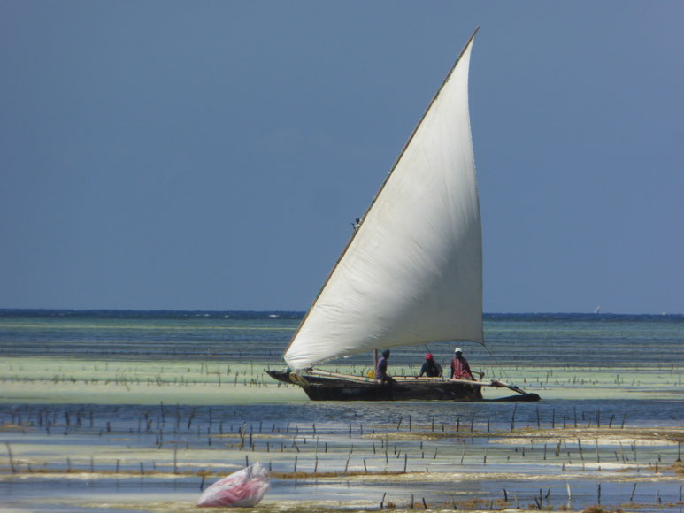 Bild: Fischerboot
