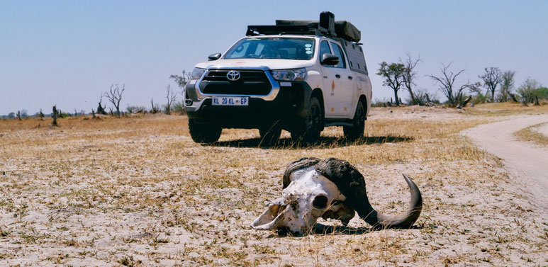 Bild: Moremi Game Reserve