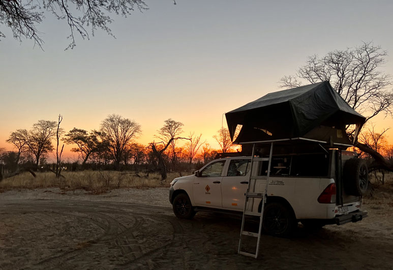 Bild: Safari