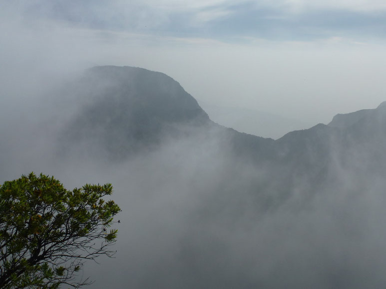 Bild: Horton Plains National Park