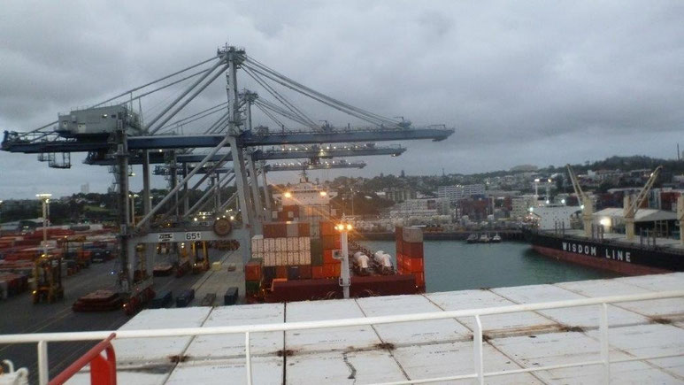 Bild: Im Hafen von Auckland