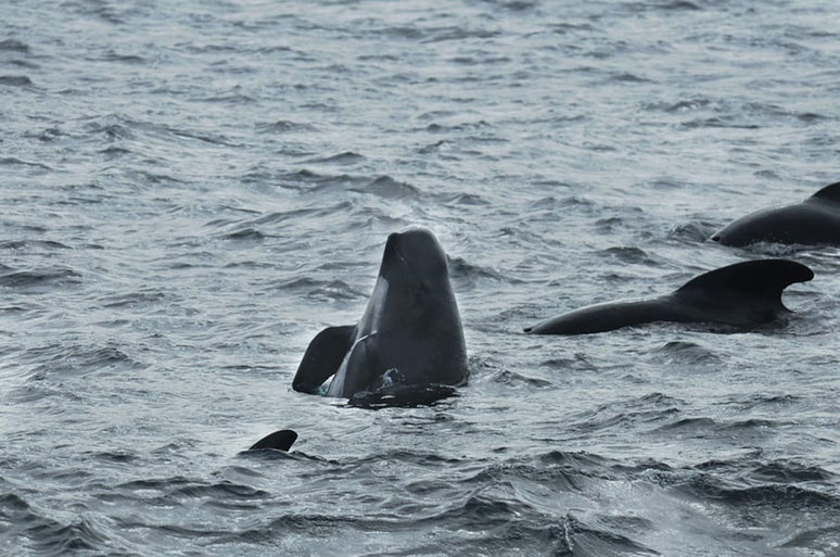 I'm pretty sure this chap was waving at us!