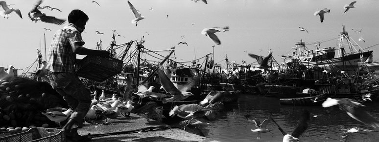 Essaouira Hafen in Marokko in schwarz-weiß als Panorama-Photographie