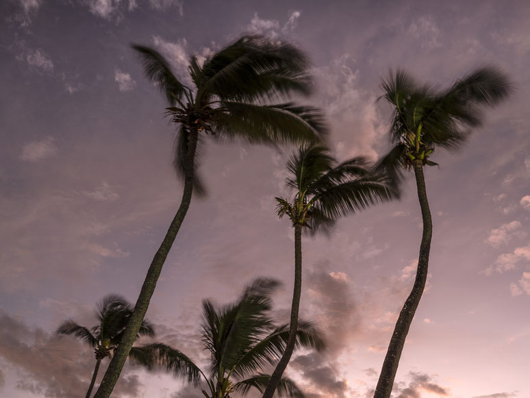 Abendaufnahme Mauritius Strand und Palmen Trou aux Biches als Farb-Photographie