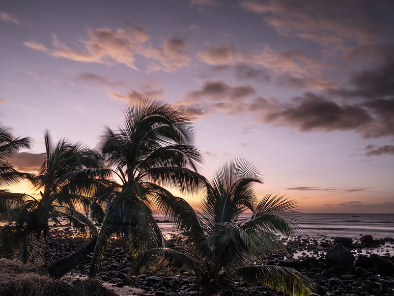 Mauritius Strand und Palmen Trou aux Biches als Farb-Photographie