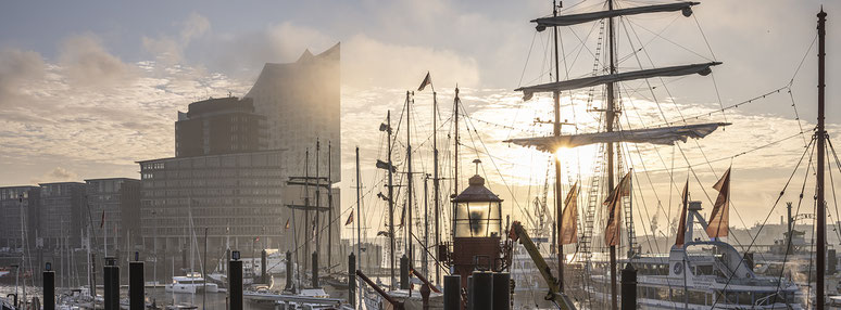 Elbphilharmonie und Niederhafen in Hamburg als Farbphoto im Panorama-Format. 