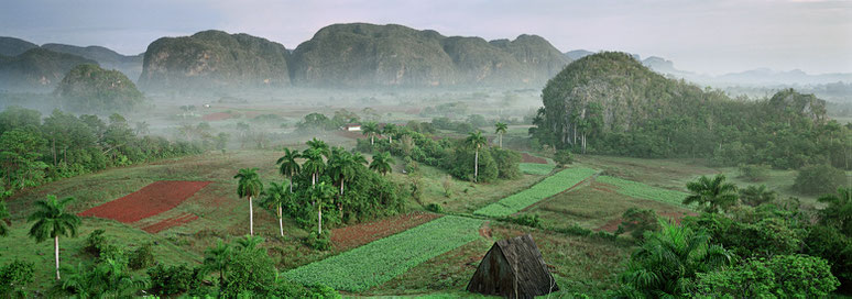 Das Valle De Vinales in Cuba früh am Morgen als Farbphoto im Panorama-Format