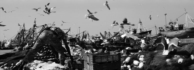 Essaouira Hafen in Marokko in schwarz-weiß als Panorama-Photographie