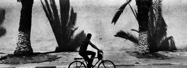 Fahrradfahrer vor Wand mit Palmen in Essaouira in Marokko in schwarz-weiß als Panorama-Photographie