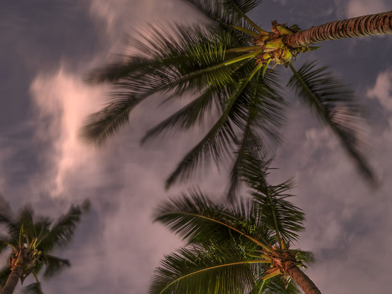 Abendaufnahme Mauritius Strand und Palmen Trou aux Biches als Farb-Photographie