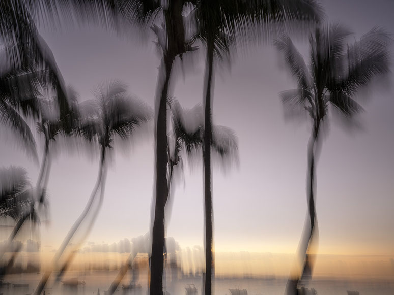 Mauritius Strand und Palmen Trou aux Biches als Farb-Photographie