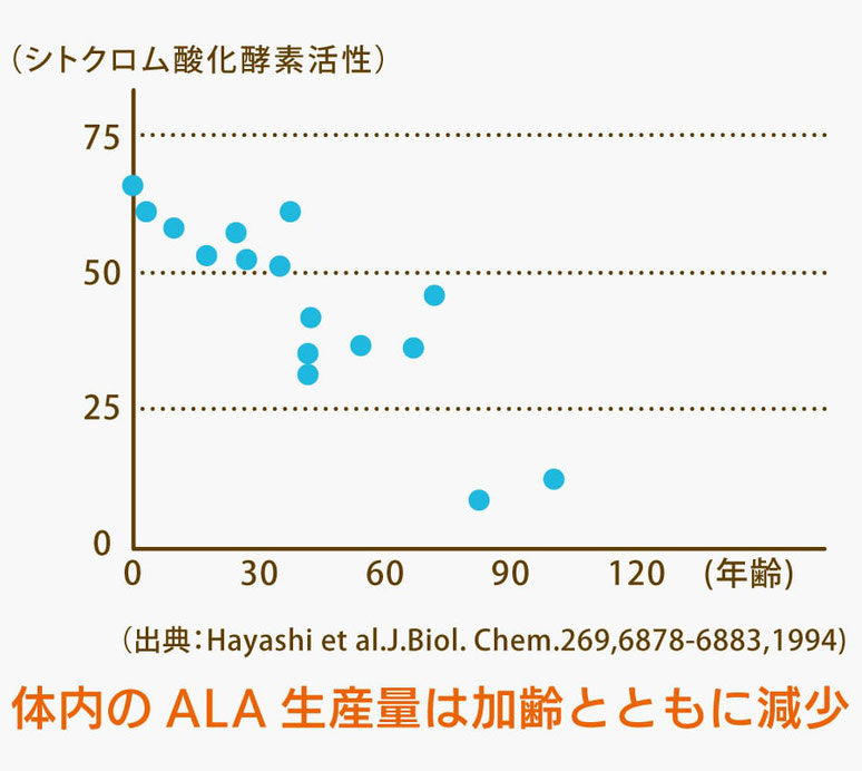 体内の5-ALA生産量は加齢とともに減少していきます。