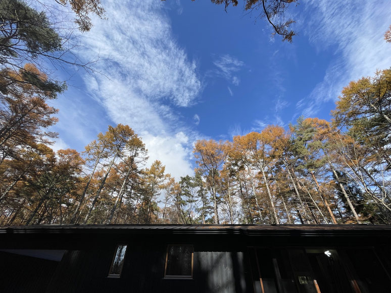 長野県　松本市　長野市　飯綱高原　建築設計事務所　建築家　news設計室　丸山和男　別荘設計　飯綱山荘Ⅲ　足場撤去
