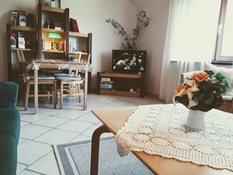 Wohnzimmer, Gemeinschaftsraum,TV - Ferienwohnung,Urlaub in der Heide