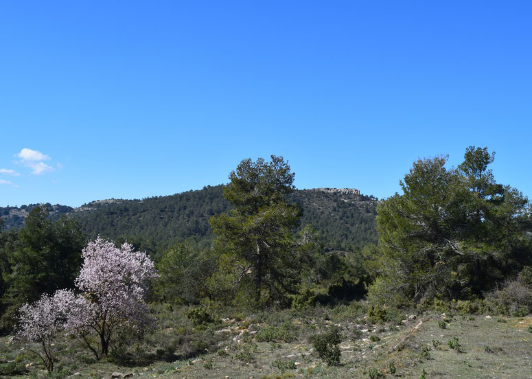 Serra de Mariola