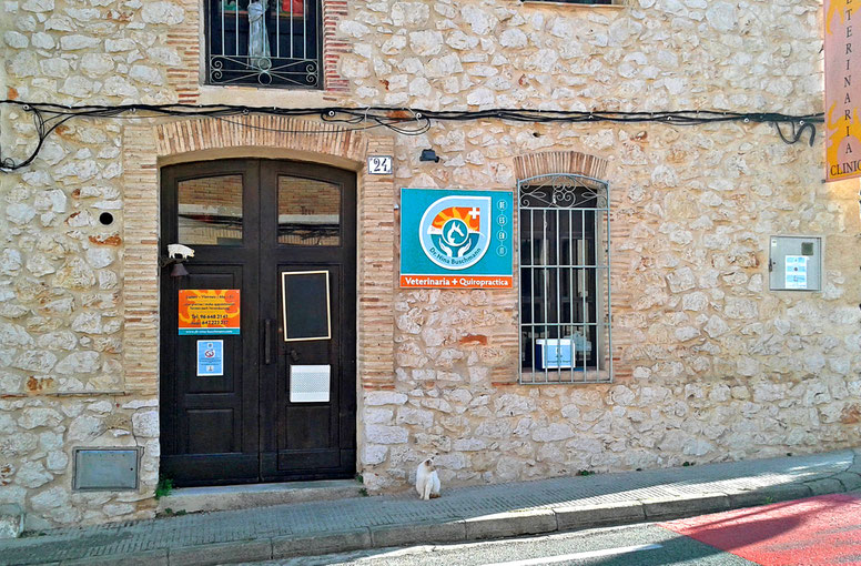 Praxiseingang im antikes Natursteinhaus mit Logo