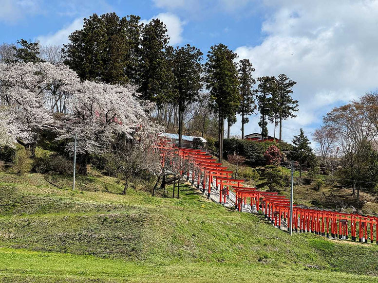 郡山市 高屋敷稲荷神社