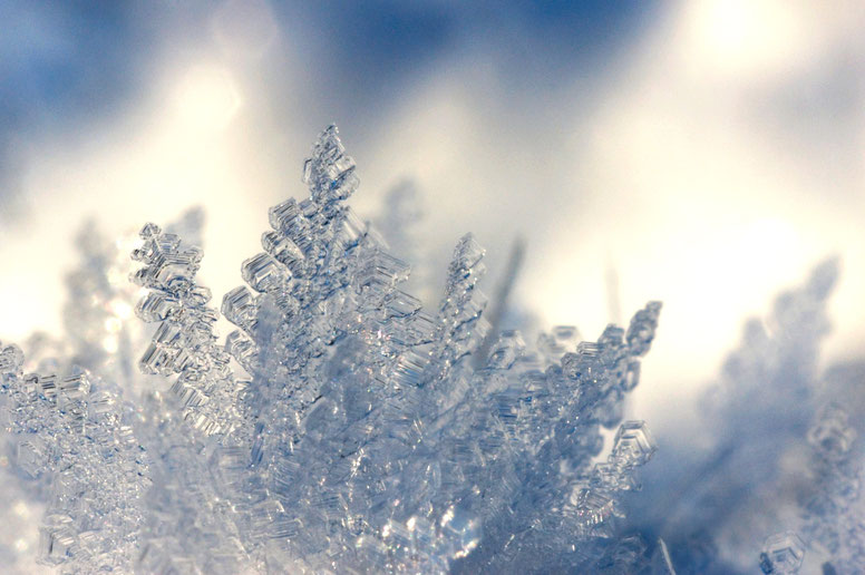 photographier des flocons de neige