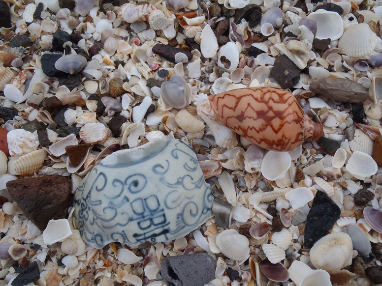 shells on Mui Ne beach, Vietnam