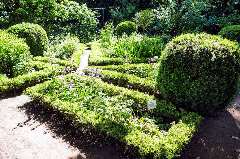 Finkens Garten Das grüne Klassenzimmer Guidemichael�s