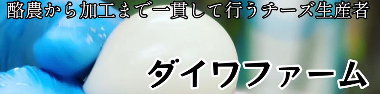 ダイワファーム　宮崎県　小林市　チーズ　酪農　