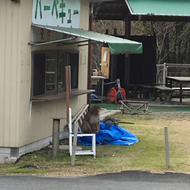 三重、桑名、自転車、BMX、MTB、デート、おでかけ、こども、レジャー、遊び、サイクリング