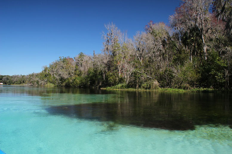 Rainbow Springs State Park