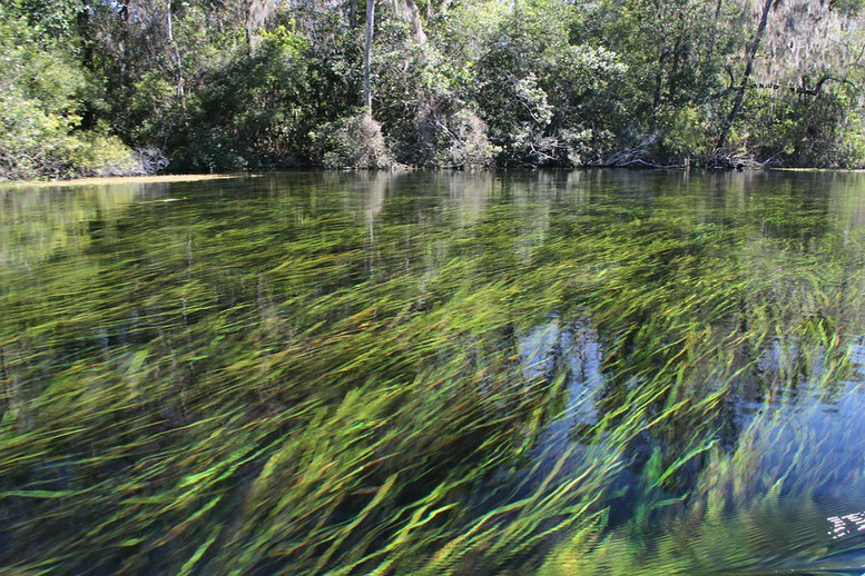 Rainbow Springs State Park