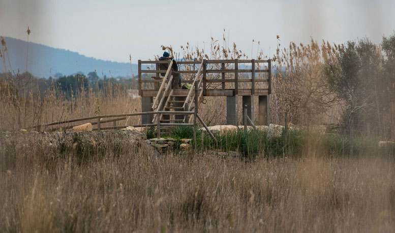 Naturpark S'Albufera de Mallorca