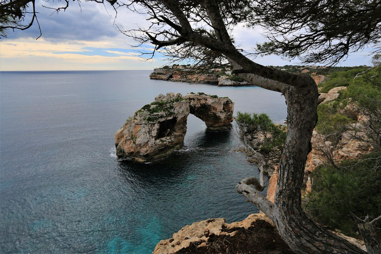 Es Pontas, Mallorca, Santanayi