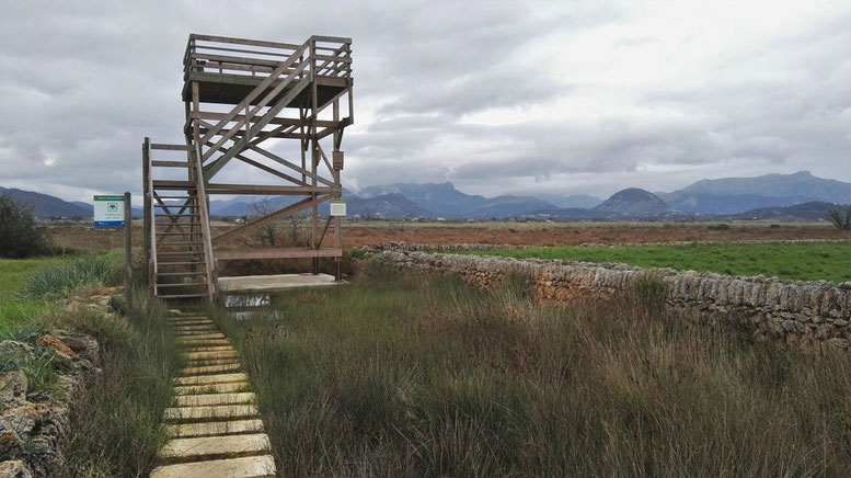 S'Albufereta Natural Reserve