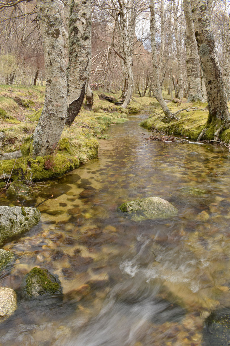 Serra de Estrela