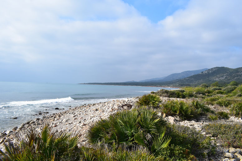 Platja d'Irta, Sierra d'Irta