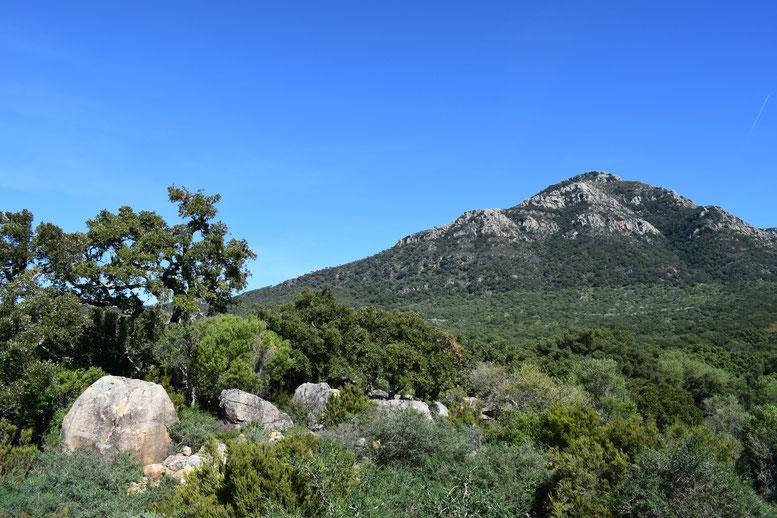 El Picacho