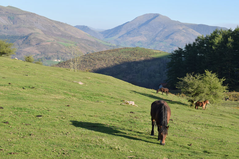 Valle de Baztán