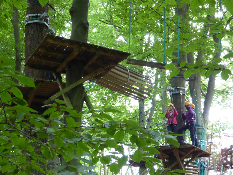 Bild: Kletterpark im Sachsenwald