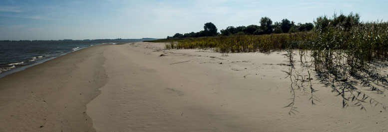Bild: Foto von der Insel Schwarztonnensand in der Niederelbe 