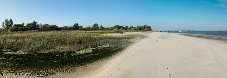 Sandweg