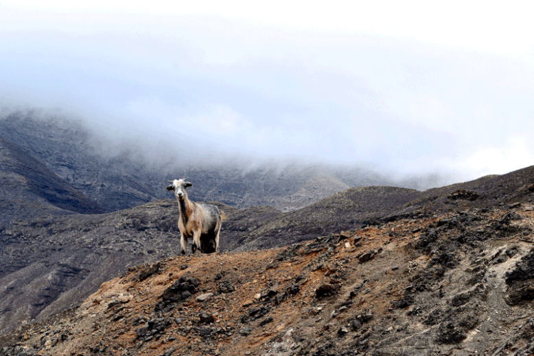 7 Days in Fuerteventura - On Our Way to the Cofete Beach