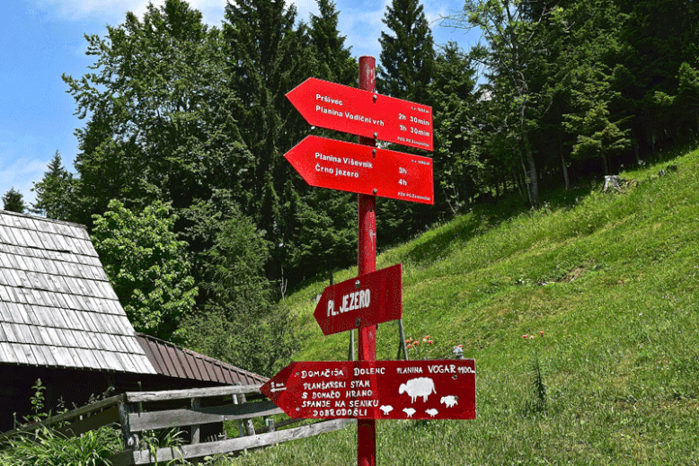 Best Views over Lake Bohinj, Slovenia