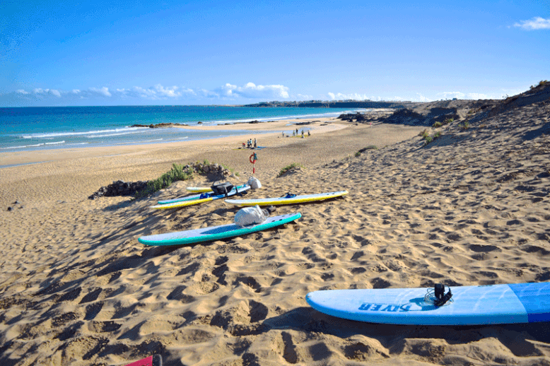 Surf Camp Fuerteventura - Surfing in Cotillo