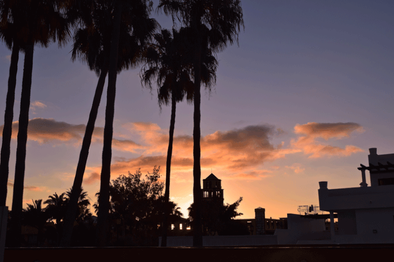 7 Days in Fuerteventura - Sunrise before the Flight